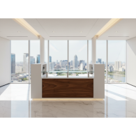 RECEPCIÓN PARA OFICINA ATLANTIS