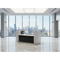 RECEPCIÓN PARA OFICINA ATLANTIS