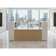 RECEPCIÓN PARA OFICINA ATLANTIS