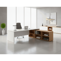 Escritorio de oficina ejecutivo con estantes