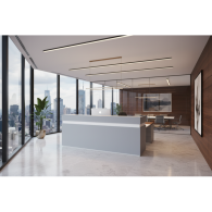 Recepcion Gris / Confort