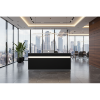 Recepcion Gris / Confort