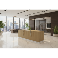 Recepción para oficina SOLEM