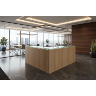 Recepción VESSPA