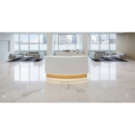 Recepción FOCUS