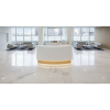 Recepción FOCUS