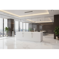 Recepción para oficina SOLEM