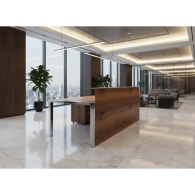 Recepción STEEL