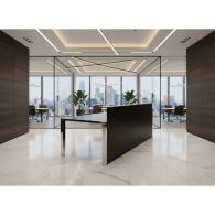 Recepción STEEL