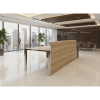 Recepción STEEL