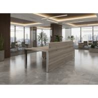 Recepción STEEL