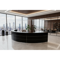 Recepción para oficina DOLANGE