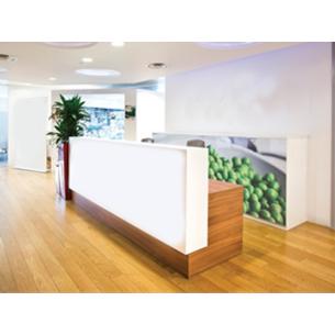 Recepción para oficina FOX