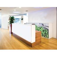 Recepción para oficina FOX