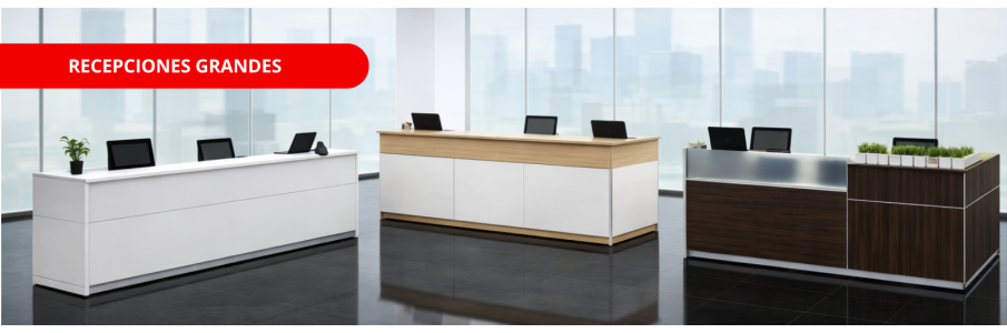 Recepciones grandes