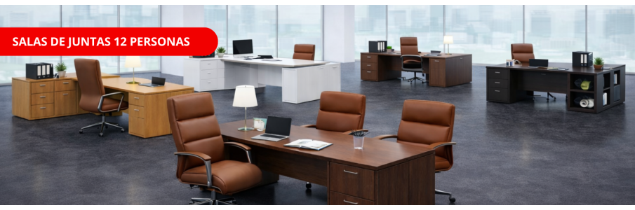 Salas de juntas 12 personas